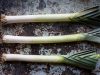 Potato Leeks Soup